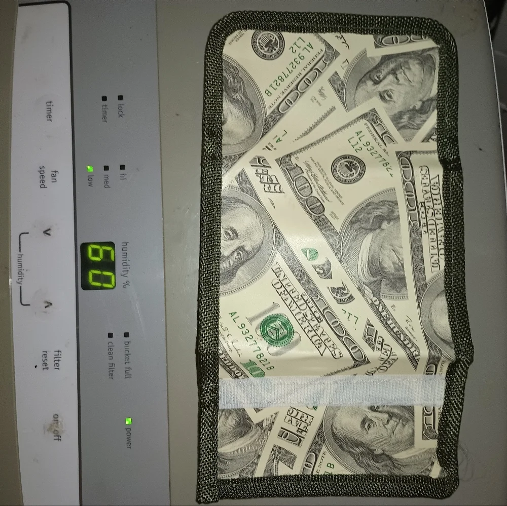 Dollar Bill Print Wallet
